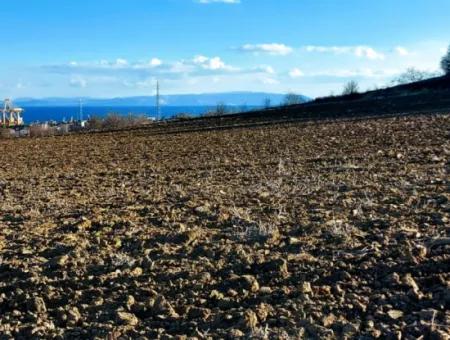 Tekirdağ Süleymanpaşa Barbaros Asyaport Limanına Çok Yakın  Konut İmarlı 17.500 M2 Satılık Tarla