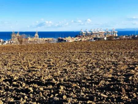 Tekirdağ Süleymanpaşa Barbaros Asyaport Limanına Çok Yakın  Konut İmarlı 17.500 M2 Satılık Tarla