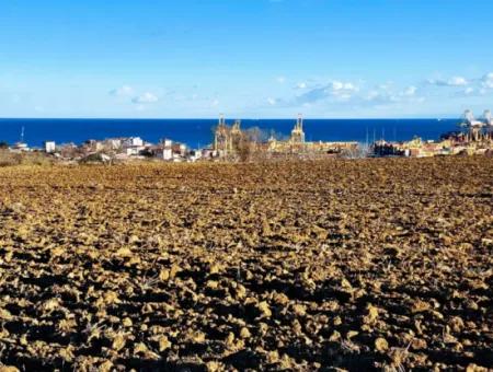 Tekirdağ Süleymanpaşa Barbaros Asyaport Limanına Çok Yakın  Konut İmarlı 17.500 M2 Satılık Tarla