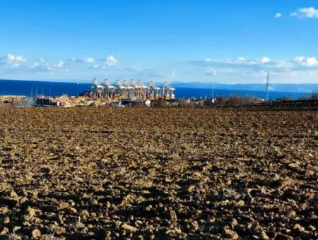 Tekirdağ Süleymanpaşa Barbaros Asyaport Limanına Çok Yakın  Konut İmarlı 17.500 M2 Satılık Tarla
