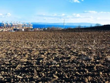 Tekirdağ'ın Süleymanpaşa Barbaros Mevkisinde Bulunan Eşsiz 17.800 M2 Konut İmarlı Arsa