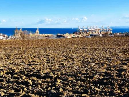 Tekirdağ Süleymanpaşa Barbaros Asyaport Limanına Çok Yakın  Konut İmarlı 17.500 M2 Satılık Tarla