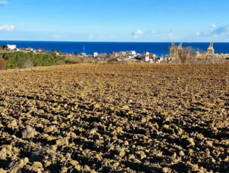 Tekirdağ Süleymanpaşa Barbaros Asyaport Limanına Çok Yakın  Konut İmarlı 17.500 M2 Satılık Tarla
