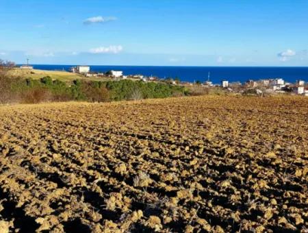 Tekirdağ Süleymanpaşa Barbaros Asyaport Limanına Çok Yakın  Konut İmarlı 17.500 M2 Satılık Tarla