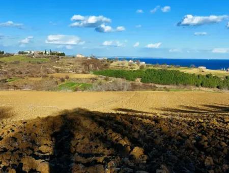 Tekirdağ Süleymanpaşa Barbaros Asyaport Limanına Çok Yakın  Konut İmarlı 17.500 M2 Satılık Tarla
