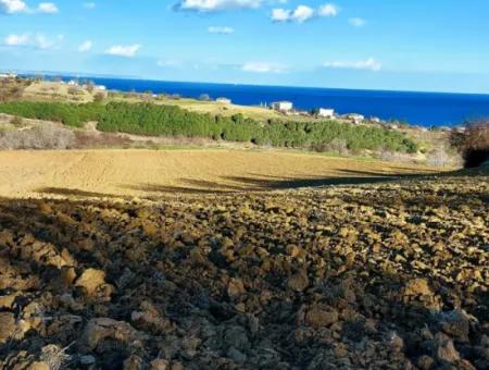 Tekirdağ'ın Süleymanpaşa Barbaros Mevkisinde Bulunan Eşsiz 17.800 M2 Konut İmarlı Arsa