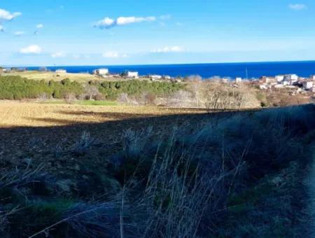 Tekirdağ Süleymanpaşa Barbaros Asyaport Limanına Çok Yakın  Konut İmarlı 17.500 M2 Satılık Tarla