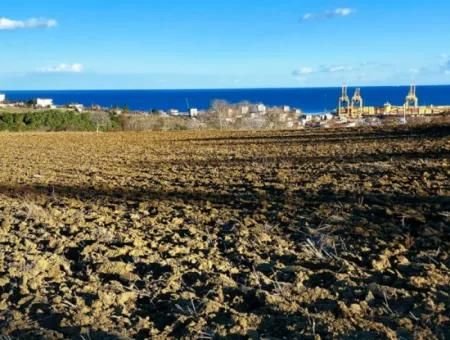 Tekirdağ Süleymanpaşa Barbaros Asyaport Limanına Çok Yakın  Konut İmarlı 17.500 M2 Satılık Tarla