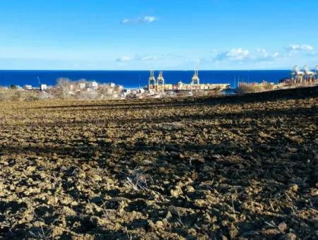Tekirdağ Süleymanpaşa Barbaros Asyaport Limanına Çok Yakın  Konut İmarlı 17.500 M2 Satılık Tarla