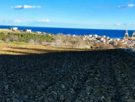 Tekirdağ Süleymanpaşa Barbaros Asyaport Limanına Çok Yakın  Konut İmarlı 17.500 M2 Satılık Tarla