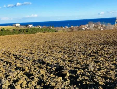 Tekirdağ Süleymanpaşa Barbaros Asyaport Limanına Çok Yakın  Konut İmarlı 17.500 M2 Satılık Tarla