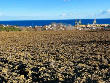 Tekirdağ Süleymanpaşa Barbaros Asyaport Limanına Çok Yakın  Konut İmarlı 17.500 M2 Satılık Tarla
