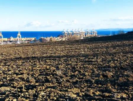 Tekirdağ Süleymanpaşa Barbaros Asyaport Limanına Çok Yakın  Konut İmarlı 17.500 M2 Satılık Tarla