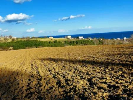 Tekirdağ Süleymanpaşa Barbaros Asyaport Limanına Çok Yakın  Konut İmarlı 17.500 M2 Satılık Tarla