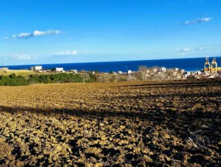 Tekirdağ Süleymanpaşa Barbaros Asyaport Limanına Çok Yakın  Konut İmarlı 17.500 M2 Satılık Tarla