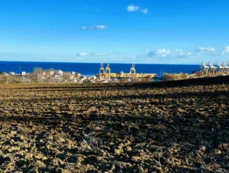 Tekirdağ Süleymanpaşa Barbaros Asyaport Limanına Çok Yakın  Konut İmarlı 17.500 M2 Satılık Tarla