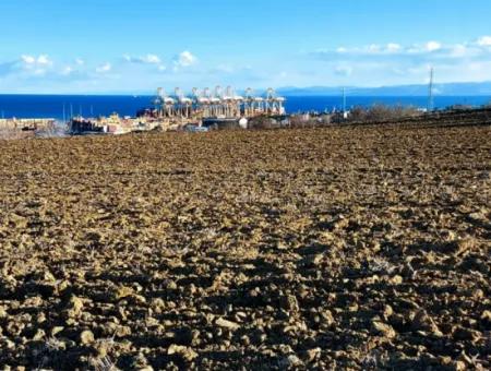 Tekirdağ Süleymanpaşa Barbaros Asyaport Limanına Çok Yakın  Konut İmarlı 17.500 M2 Satılık Tarla