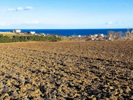 Tekirdağ'ın Süleymanpaşa Barbaros Mevkisinde Bulunan Eşsiz 17.800 M2 Konut İmarlı Arsa