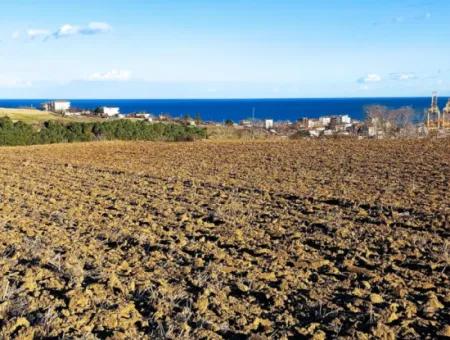 Tekirdağ Süleymanpaşa Barbaros Asyaport Limanına Çok Yakın  Konut İmarlı 17.500 M2 Satılık Tarla