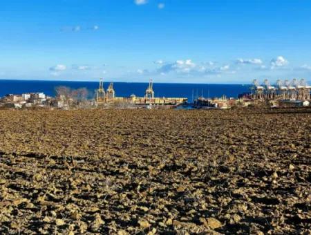 Tekirdağ Süleymanpaşa Barbaros Asyaport Limanına Çok Yakın  Konut İmarlı 17.500 M2 Satılık Tarla