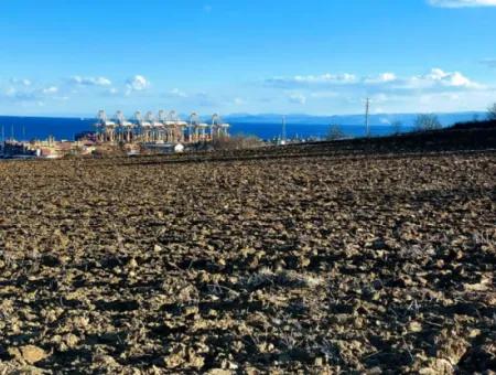 Tekirdağ Süleymanpaşa Barbaros Asyaport Limanına Çok Yakın  Konut İmarlı 17.500 M2 Satılık Tarla