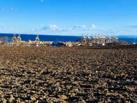Tekirdağ Süleymanpaşa Barbaros Asyaport Limanına Çok Yakın  Konut İmarlı 17.500 M2 Satılık Tarla
