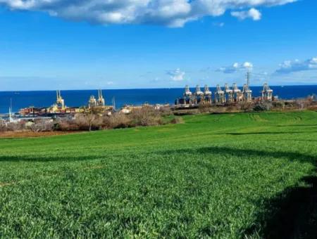 Tekirdağ Süleymanpaşa Barbaros Mahallesi 17.980 M2. Asyaport Limanina Çok Yakin Tarla