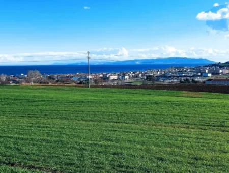 Tekirdağ Süleymanpaşa Barbaros'ta Bulunan Bu 11.100 M2 Konut İmarlı Arazi, Harika Bir Konumda Yer Alıyor.