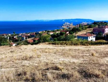 Tekirdağ Barbaros'ta Bulunan Bu Muhteşem Arazi, Tamamen Deniz Ve Doğa Manzaralı Olup, 6 Adet Villa Yapmaya Uygun Bir Konumda Yer Almaktadır