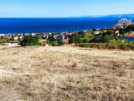 Tekirdağ Barbaros'ta Bulunan Bu Muhteşem Arazi, Tamamen Deniz Ve Doğa Manzaralı Olup, 6 Adet Villa Yapmaya Uygun Bir Konumda Yer Almaktadır