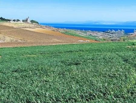 Tekirdağ'ın Nusuratlı Mevkisinde 19.500 Metrekarelik Ticari Ve Sanayi Alanında Satılık Tarla