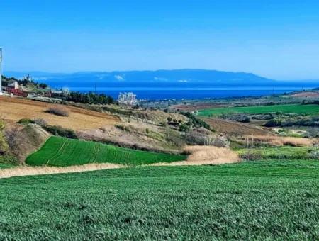 Tekirdağ Süleymanpaşa Nusratlı Asyaport Limanı Mevcut İmar Planı İçinde Satılık Tarla