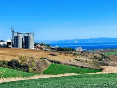 Tekirdağ Süleymanpaşa Nusratlı Asyaport Limanı Mevcut İmar Planı İçinde Satılık Tarla
