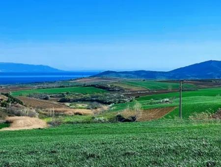 Tekirdağ'ın Nusuratlı Mevkisinde 19.500 Metrekarelik Ticari Ve Sanayi Alanında Satılık Tarla