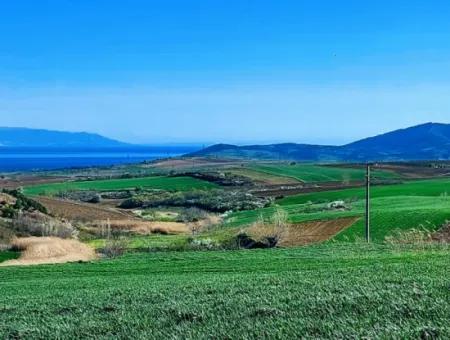 Tekirdağ Süleymanpaşa Nusratlı Asyaport Limanı Mevcut İmar Planı İçinde Satılık Tarla