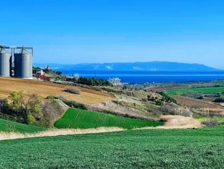 Tekirdağ Süleymanpaşa Nusratlı Asyaport Limanı Mevcut İmar Planı İçinde Satılık Tarla
