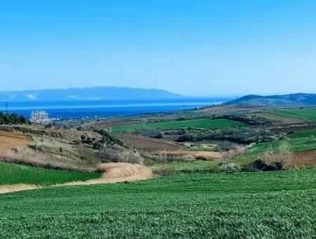 Tekirdağ Süleymanpaşa Nusratlı Asyaport Limanı Mevcut İmar Planı İçinde Satılık Tarla