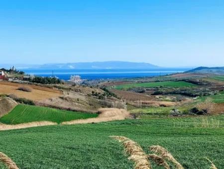 Tekirdağ Süleymanpaşa Nusratlı Asyaport Limanı Mevcut İmar Planı İçinde Satılık Tarla