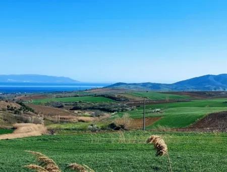 Tekirdağ Süleymanpaşa Nusratlı Asyaport Limanı Mevcut İmar Planı İçinde Satılık Tarla