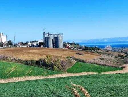 Tekirdağ'ın Nusuratlı Mevkisinde 19.500 Metrekarelik Ticari Ve Sanayi Alanında Satılık Tarla