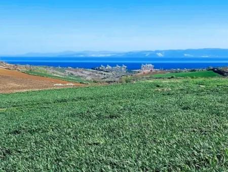 Tekirdağ Süleymanpaşa Nusratlı Asyaport Limanı Mevcut İmar Planı İçinde Satılık Tarla