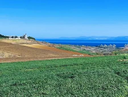 Tekirdağ Süleymanpaşa Nusratlı Asyaport Limanı Mevcut İmar Planı İçinde Satılık Tarla