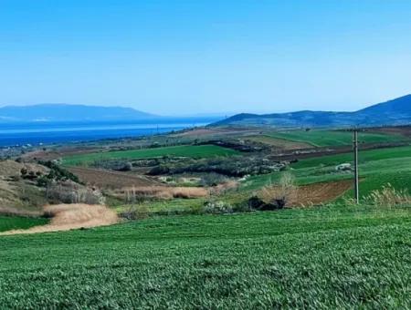 Tekirdağ'ın Nusuratlı Mevkisinde 19.500 Metrekarelik Ticari Ve Sanayi Alanında Satılık Tarla