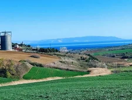 Tekirdağ'ın Nusuratlı Mevkisinde 19.500 Metrekarelik Ticari Ve Sanayi Alanında Satılık Tarla