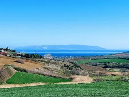 Tekirdağ'ın Nusuratlı Mevkisinde 19.500 Metrekarelik Ticari Ve Sanayi Alanında Satılık Tarla