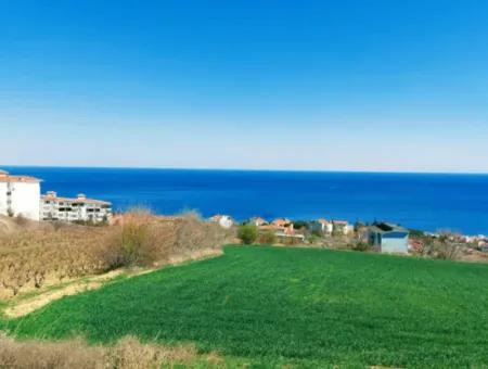 Tekirdağ Süleymanpaşa Barbaros'ta Deniz Manzaralı 6 Villa İçin Muhteşem Yatırım Fırsatı!