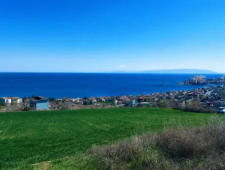 Tekirdağ Süleymanpaşa Barbaros'ta Deniz Manzaralı 6 Villa İçin Muhteşem Yatırım Fırsatı!