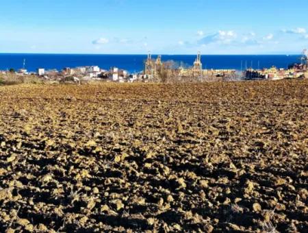 Tekirdağ Barbaros Asyaport Limanına Yakın, Muazzam Manzaralı 17.100 M2 Konut İmarlı Tarla