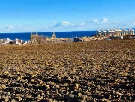 Tekirdağ Barbaros Asyaport Limanına Yakın, Muazzam Manzaralı 17.100 M2 Konut İmarlı Tarla