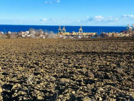 Tekirdağ Barbaros Asyaport Limanına Yakın, Muazzam Manzaralı 17.100 M2 Konut İmarlı Tarla